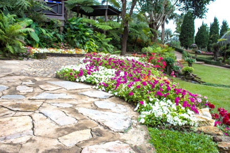 Mae Fah Luang Garden,locate on Doi Tung, Chiangrai Province, Thailandの写真素材
