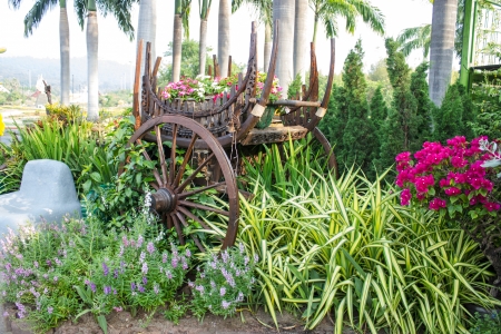 Royal Flora Ratchaphruek chiangmai Thailandの写真素材