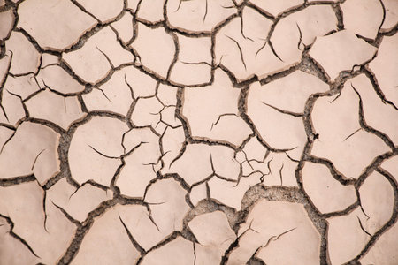 Dried soil crack background
