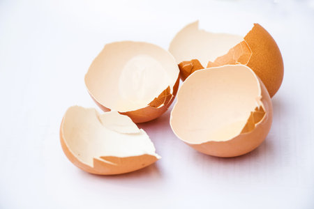 Eggshell