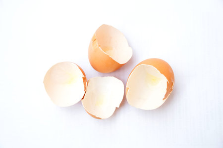 Eggshell