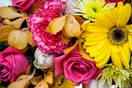 Beautiful flowers backgroundの写真素材
