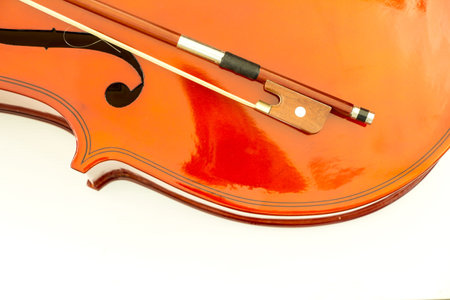 Violin on white 