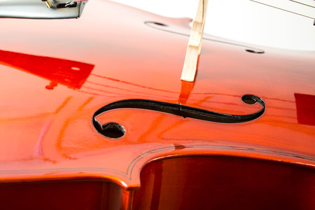 Violinの写真素材