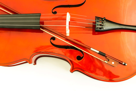 Violin on white backgroundの写真素材