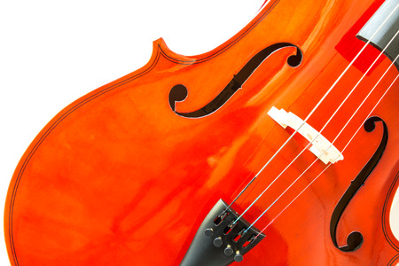 Violin on white backgroundの写真素材