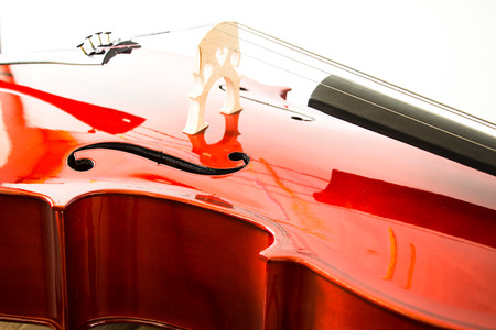 Violin on white backgroundの写真素材