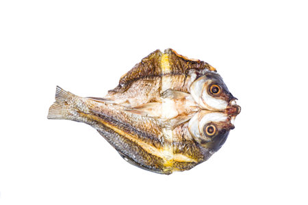 Grilled fish on white background