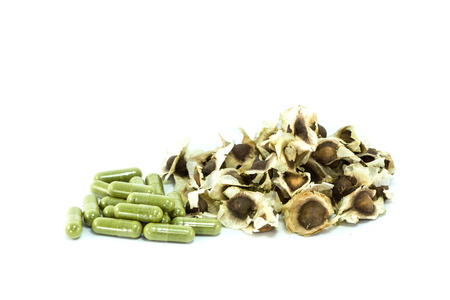 moringa seedの写真素材