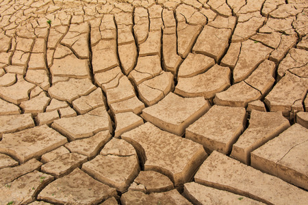 Cracked earthの写真素材