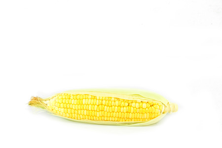 cornの写真素材
