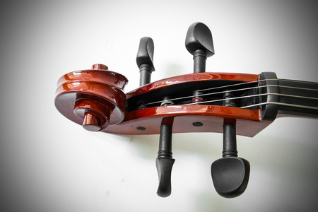 violin pegboxの写真素材