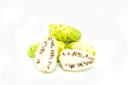 morinda on white backgroundの写真素材