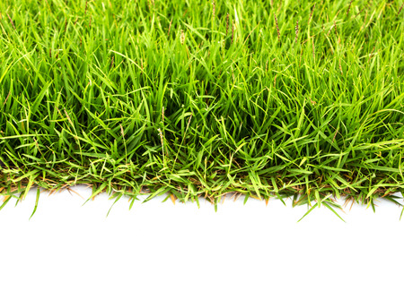 grassの写真素材