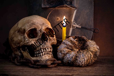 slull still lifeの写真素材