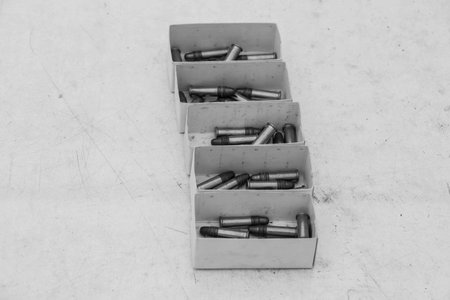 .22 bullet