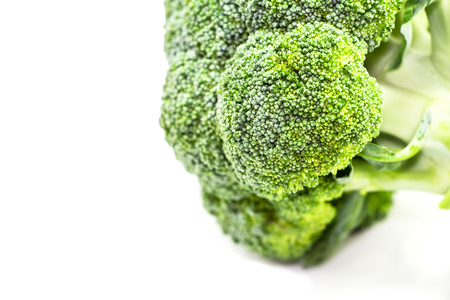 broccoli on white backgroundの写真素材