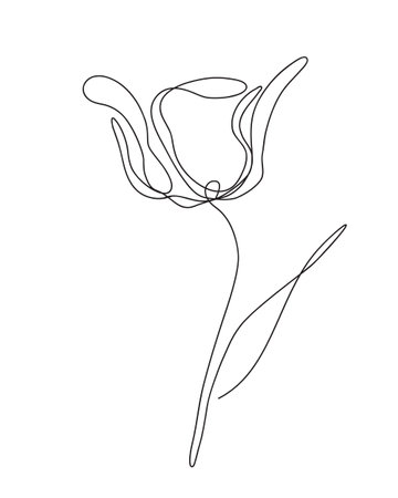 Tulip flower line art vector. Minimalist line drawing with a tulip flower for tattoo, prints, posters, cardのイラスト素材