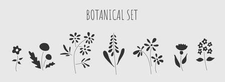 Flowers vector icon set. Botanical icons set. Simple flowers herbs icons for tattoo, print, poster, cardのイラスト素材