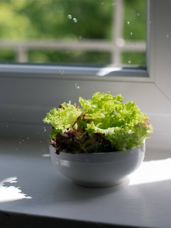 bowl of salad greens fresh and healthyの写真素材