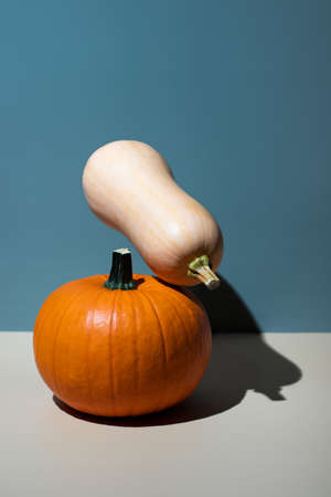 two different types of pumpkin balancing in hard light, color match to background, levitation illusion, food photography trendの写真素材