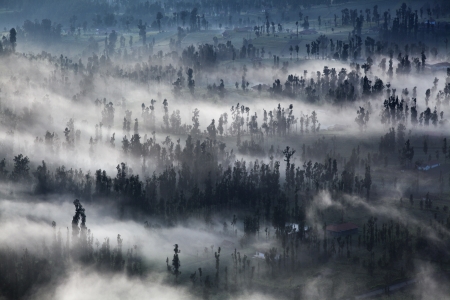 The mist at Cemoro Lawang Village Bromo Indonesiaの写真素材