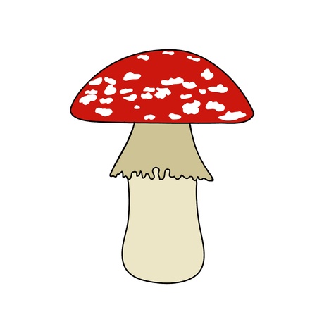 Poison mushroom is redの写真素材