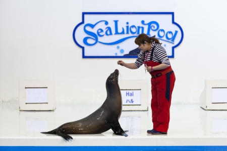 sea lion with trainer show at Noboribetsu Marine Park Hokkaido Japanのeditorial素材
