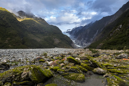 franz josef glacier in New Zealandの写真素材