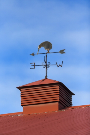 Kiwi bird weather vane on a rooftop Cromwell, Otago New Zealandの写真素材