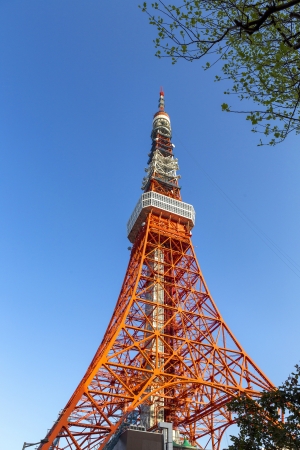 Tokyo tower in the blue skyのeditorial素材