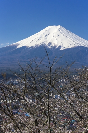 Mount Fuji, Japanの写真素材