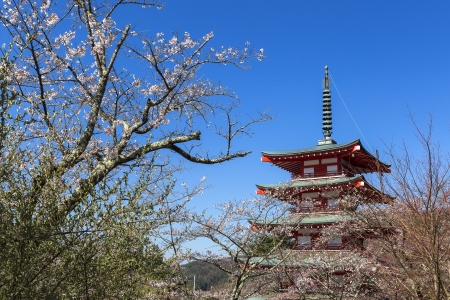 Chureito Pagoda with cherry blossumsのeditorial素材