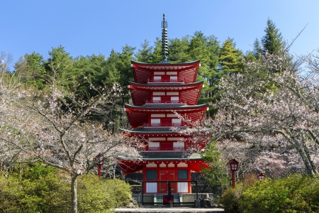 Chureito Pagoda with cherry blossumsのeditorial素材