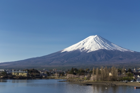Mt Fuji at lake Kawaguchikoの写真素材