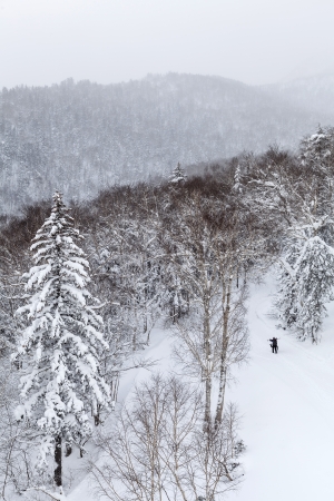 Aerial view of skier walking through snow mountainsの写真素材