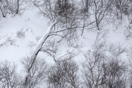Aerial view of the winter from Hokkaido, Japanの写真素材