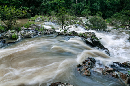 close up of river stream