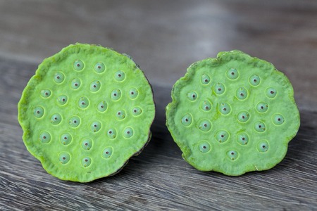 Green Lotus seed on wood backgroundの写真素材