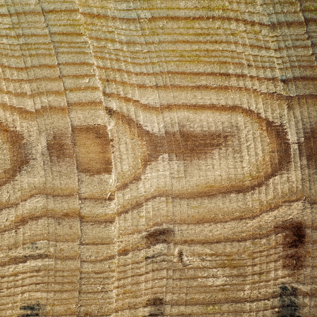 Wood Texture Backgroundの写真素材