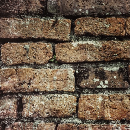 Brick wall texture in vintage styleの写真素材