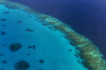 Coral Reef and detail of Atoll in Indean Ocean, Maldivesの写真素材