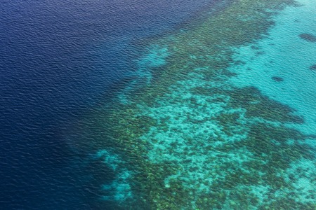 Coral Reef and detail of Atoll in Indean Ocean, Maldivesの写真素材