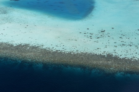 Coral Reef and detail of Atoll in Indean Ocean, Maldivesの写真素材