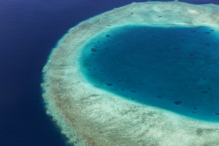 Coral Reef and detail of Atoll in Indean Ocean, Maldivesの写真素材