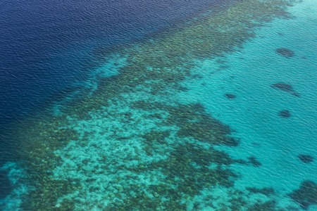 Coral Reef and detail of Atoll in Indean Ocean, Maldivesの写真素材