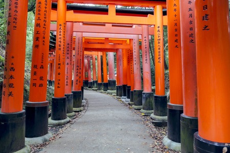 KYOTO, JAPAN - 19 NOVEMBER 2015:  The red Torii at Fushimi Inari Shrine. This place is one of the top tourist attraction point in Kyoto Japanのeditorial素材