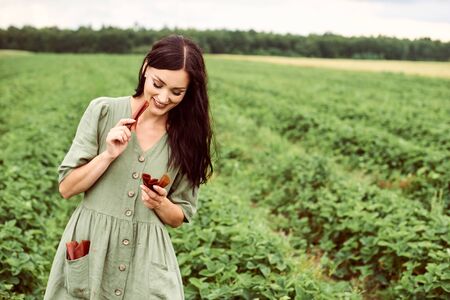 A young beautiful woman in a field harvesting strawberries with a green basket in her handsの写真素材