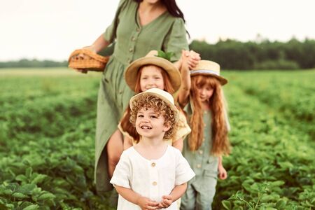 Beautiful young caucasian mother with children in a linen dress with a basket of strawberries gathers a new crop and has fun with the childrenの写真素材