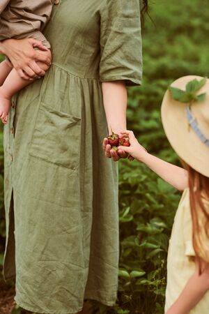 Beautiful young caucasian mother with her children in a linen dress with a basket of strawberries gathers a new crop and has fun with the childrenの写真素材